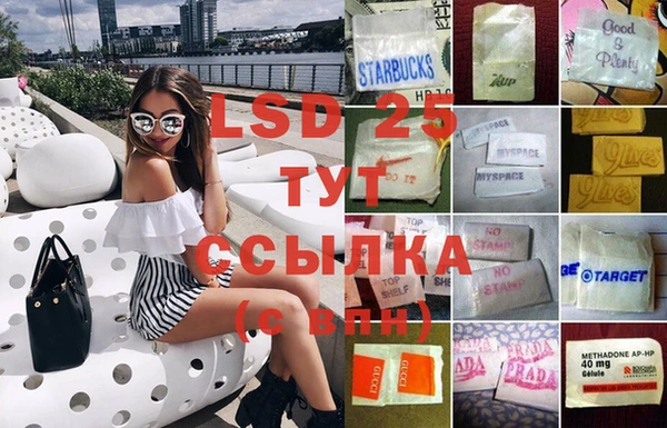 ПСИЛОЦИБИНОВЫЕ ГРИБЫ Балахна